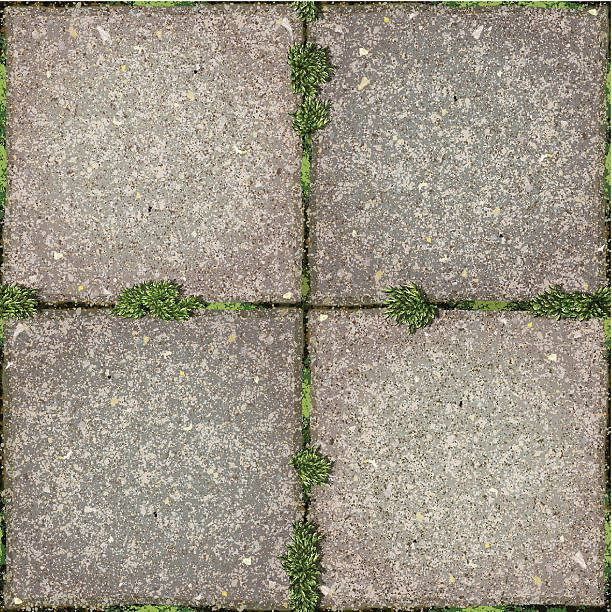 seamless garden tiles  with moss background seamless concrete patio floor tiles with moss. No clipping path, ready to use. EPS8 file. 4000 × 4000 JPG included. EPS10 file. Transparency used for shadows. Layered file, individual objects and textures. http://i161.photobucket.com/albums/t234/lolon5/seamless.jpg moss stock illustrations