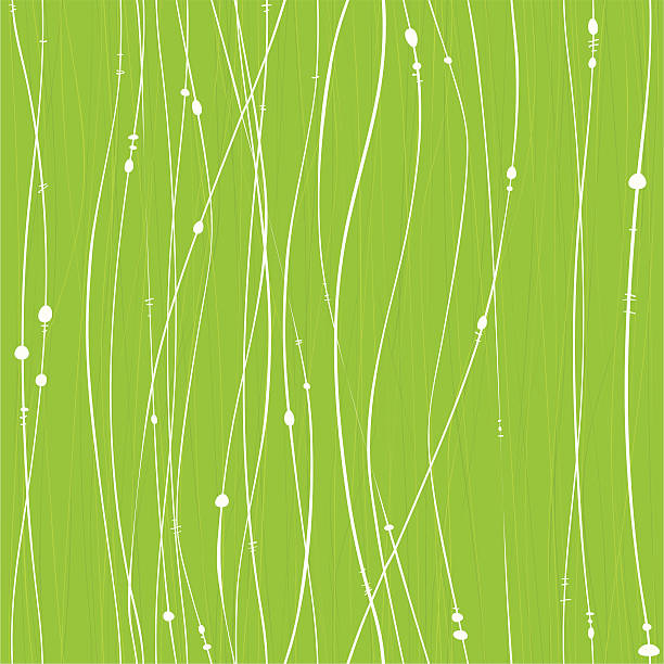 Seamless grassy background vector art illustration