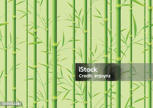 istock Seamless green bamboo background 1304762287