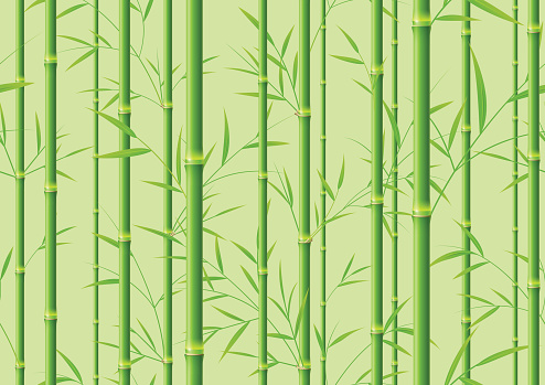 Seamless green bamboo background