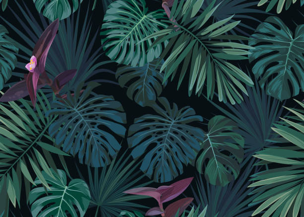 nahtlose hand gezeichnete botanische exotisches vektormuster mit grünen palmen blätter auf dunklem hintergrund - urwald stock-grafiken, -clipart, -cartoons und -symbole