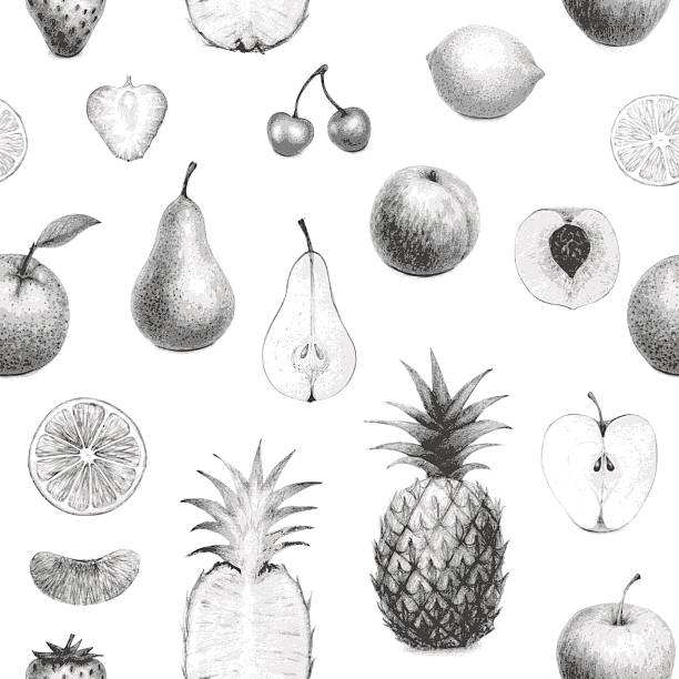 seamless hand drawn fruits set vector art illustration