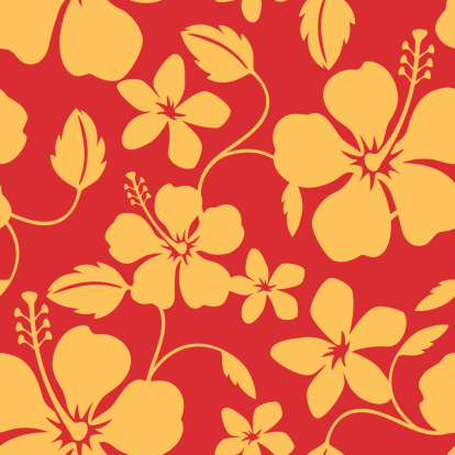 Seamless Hawaiian Hula Pattern