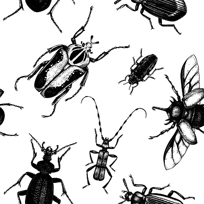 Seamless insects pattern