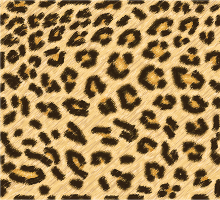 Seamless leopard skin pattern