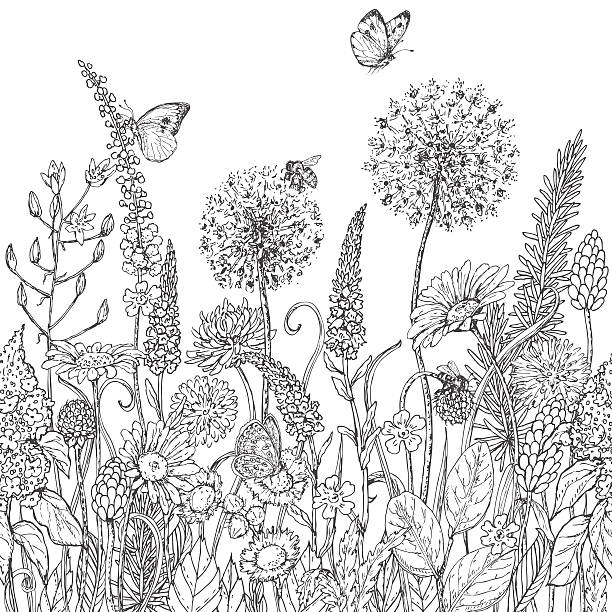 Seamless line pattern with wildflowers  and insects Hand drawn seamless line pattern with wildflowers and insects. Black and white doodle wild flowers, bees and butterflies for coloring. Floral elements for decoration. Vector sketch. butterfly coloring stock illustrations