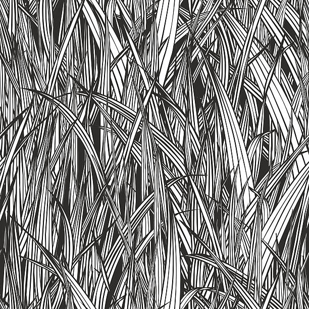 Seamless linear pattern - grass Seamless linear pattern - grass. Black and white grass patterns stock illustrations