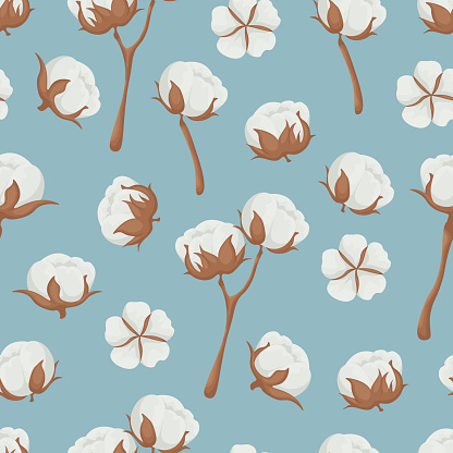 Seamless pattern. A pattern with an image of a cotton plant. Cotton pattern for the print. Vector illustration