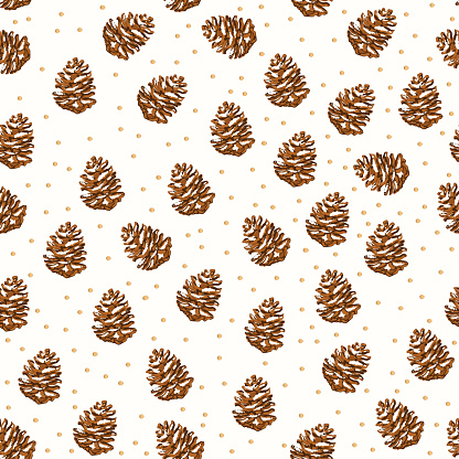seamless pattern background with Dried pine cones.
