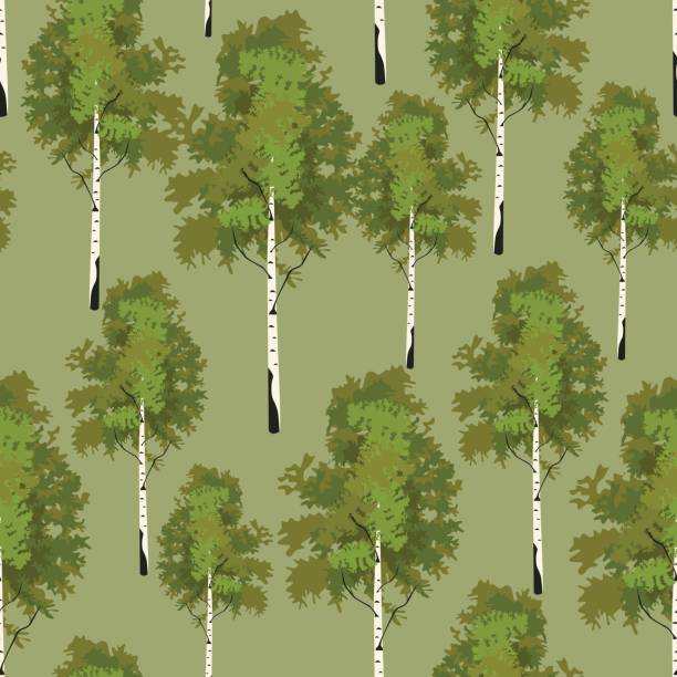 bildbanksillustrationer, clip art samt tecknat material och ikoner med seamless pattern birch tree in springtime - skog sverige