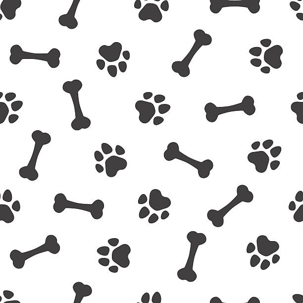 Seamless pattern - bones and traces of paws Seamless vector pattern - bones and traces of paws bone stock illustrations