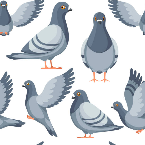 Seamless pattern. Colorful Icon set of Pigeon bird flying and sitting. Flat cartoon character design. Colorful bird icon. Cute pigeon template. Vector illustration on white background Seamless pattern. Colorful Icon set of Pigeon bird flying and sitting. Flat cartoon character design. Colorful bird icon. Cute pigeon template. Vector illustration on white background. pigeon stock illustrations