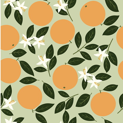 Seamless pattern design of orange fruit with the leaves and flowers of the tree with a light green background and with modern style