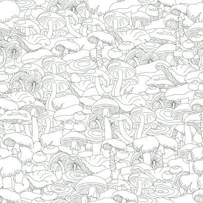 Seamless pattern, mushroom doodle for coloring. Vector illustration of toadstool, white mushroom, chanterelles, honey agarics and boletus.