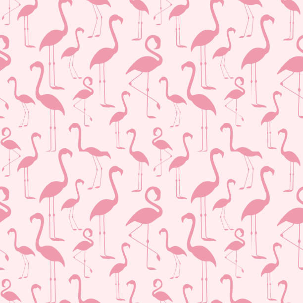 stockillustraties, clipart, cartoons en iconen met naadloze patroon van een roze flamingo - flamingo