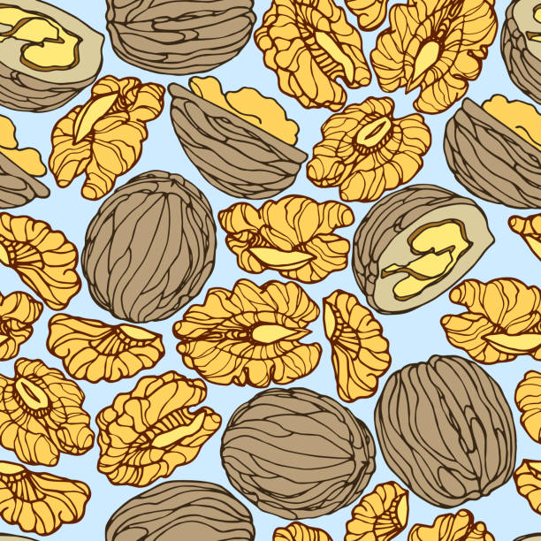 ilustrações de stock, clip art, desenhos animados e ícones de seamless pattern of a set of walnuts & kernels, for menu design or confectionery, textiles - nozes