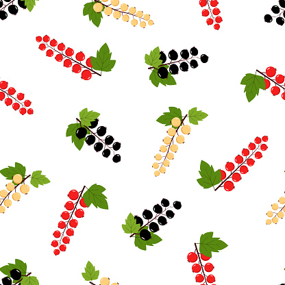 Seamless Pattern of different currants, black red and white. Vector illustration of cartoon berries.
