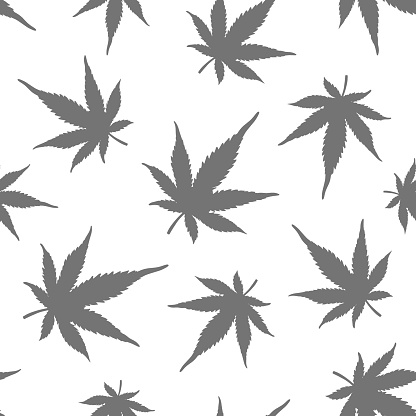 Seamless pattern of grey hemp on a white background. A sample of marijuana. Vector illustration.