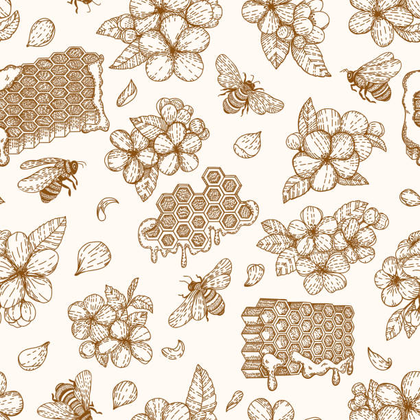 Seamless pattern of honey, bees, honeycomb, flowers. Vector illustration in graphic hand draw sketch style. Linear Art. Organic healthy food. Products for Logo, labels cards and brochures Seamless pattern of honey, bees, honeycomb, flowers. Vector illustration in graphic hand draw sketch style. Linear Art. Organic healthy food. Products for Logo, labels cards and brochures bee designs stock illustrations