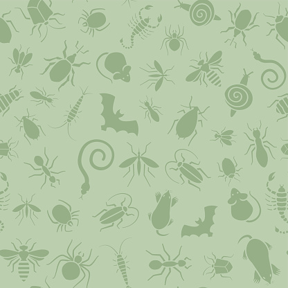Vector green seamless pattern or background for website of different insects like scorpions, bed bugs and termites for pest control companies. Included some animals like bats, moles, mice and snakes.