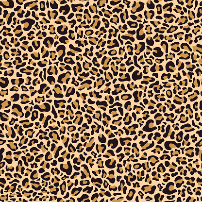 Seamless pattern of leopard skin