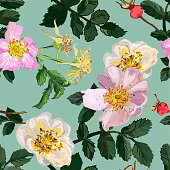 Seamless pattern - pink and white rosehip flowers, red fruits and green leaves. The background is pale green.