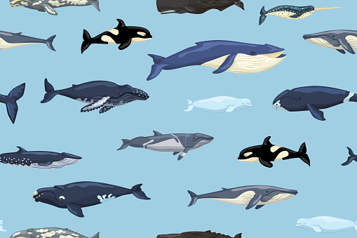 Seamless pattern whales on blue background. Print of cartoon characters of ocean in Scandinavian style for children. Repeated texture with marine mammals.