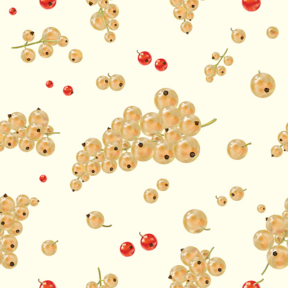 Seamless pattern. White Currant on light background.