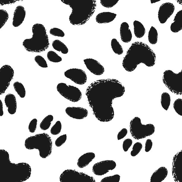 動物の足のプリントとのシームレスなパターン。犬や猫の手描きの足のプリント。 - 野生のネコ科動物点のイラスト素材／クリップアート素材／マンガ素材／アイコン素材