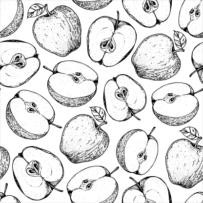 Seamless pattern with apple fruit. Hand drawn sketch. Black and white style illustration. Vector illustration.