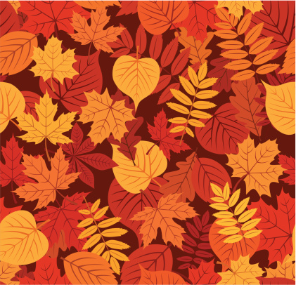 Vector seamless pattern with autumn leaves of various colors on a brown background. vector
