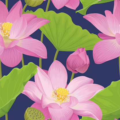 Seamless pattern with beautiful lotus flowers or water lily and leaves background. Vector set of exotic tropical garden for holiday invitation, greeting card and textile fashion design.