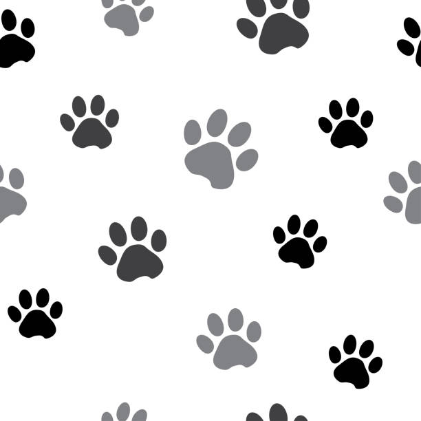 stockillustraties, clipart, cartoons en iconen met naadloze patroon met zwarte en grijze silhouet dierlijke paw track op witte achtergrond. vectorillustratie - jaar van de hond