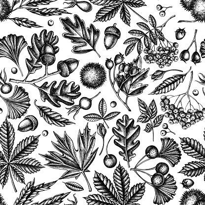 Seamless pattern with black and white fern, dog rose, rowan, ginkgo, maple, oak, horse chestnut, chestnut, hawthorn
