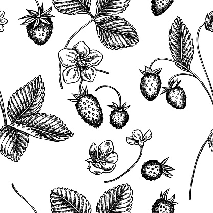 Seamless pattern with black and white strawberry