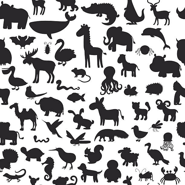 bildbanksillustrationer, clip art samt tecknat material och ikoner med seamless pattern with black animals silhouettes. cute background - australia nature background