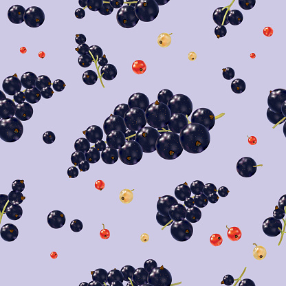 Seamless pattern with black currant berries. Black currant on lilac background.