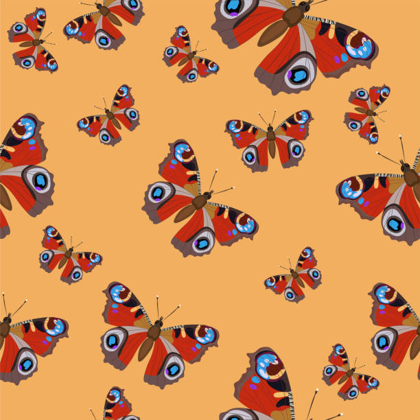 stockillustraties, clipart, cartoons en iconen met naadloze patroon met vlinders peacock eye - peacock back