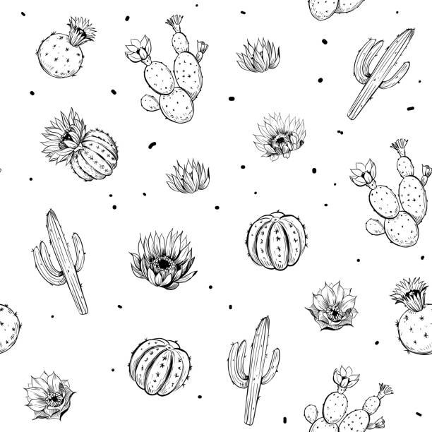 Seamless pattern with cacti and flowers. Hand drawn sketches converted to vector Seamless pattern with cacti and flowers. Hand drawn sketches converted to vector cactus drawings stock illustrations
