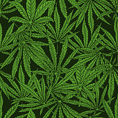 istock Seamless pattern with cannabis leaves. For poster,card, banner, flyer. Vector illustration 1290206073