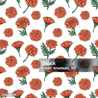 istock Seamless pattern with cute vector marigold flower. Illustration for El Dia de Los Muertos. La muerte celebration. Halloween pattern on a white background 1345468534