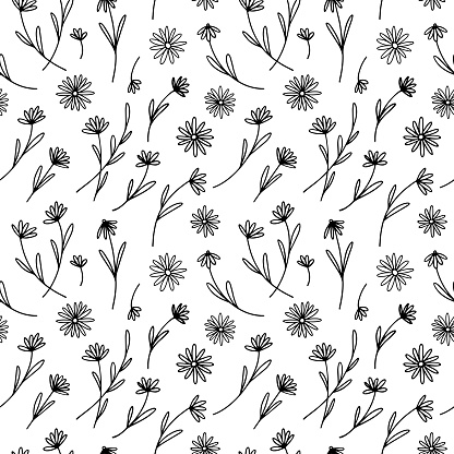 Seamless pattern with delicate daisies, wildflowers in line style. Daisy flowers on the field.