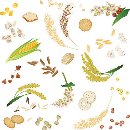 Seamless pattern with gluten free cereal foodstuff
