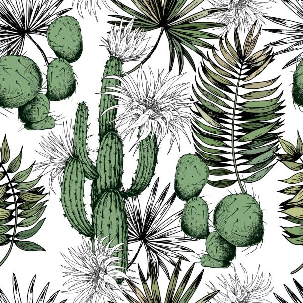Seamless pattern with green cactus plants and white flowers. Seamless pattern with green cactus plants and white flowers. Hand drawn vector on white background. desert area backgrounds stock illustrations