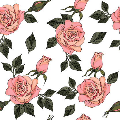 Seamless pattern with hand drawn rose flower with branches and leaves and buttons vector illustration