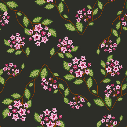 Seamless pattern with hoya home flower. Botanical vector illustration