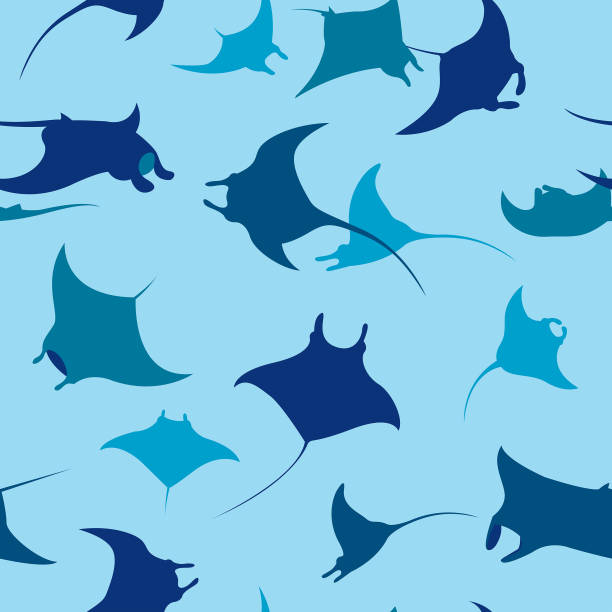 Seamless pattern with mantas. Seamless pattern with silhouette of mantas on a blue background. Vector wallpaper with sea animals. manta ray stock illustrations