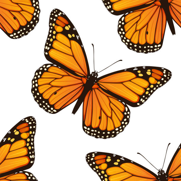 ilustraciones, imágenes clip art, dibujos animados e iconos de stock de patrón sin costuras con mariposas monarch - mariposa monarca