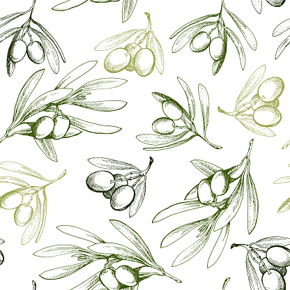 Seamless pattern with olive branch. Drawn by hand