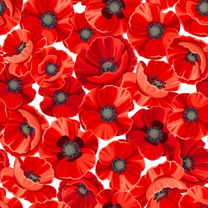 Seamless pattern with red poppy flowers. Vector illustration.